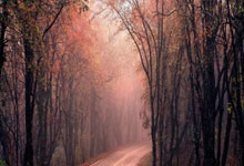 西蒙尼:对皇马我们赢了但被淘汰了,欧足联决定的.