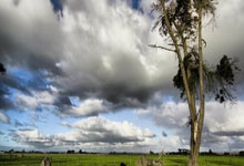 乒乓球——WTT重庆冠军赛：蒯曼晋级八强.