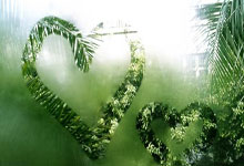 米兰体育：[中超]武磊打破中超单赛季进球纪录.